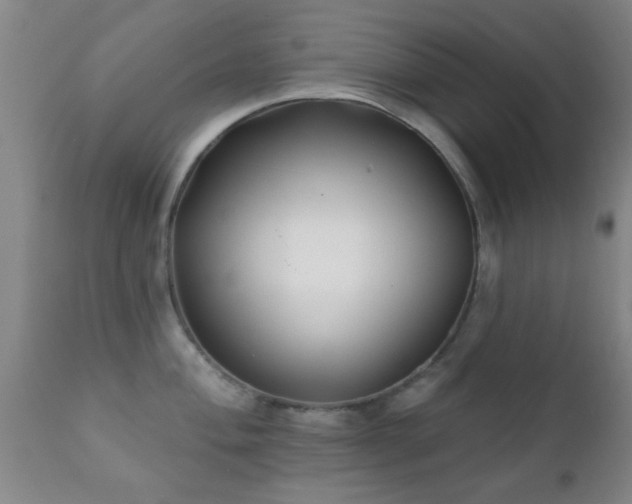 X0000112201004200908141429