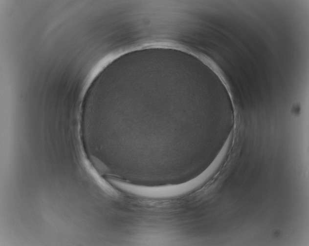 X0000112201005200908141429
