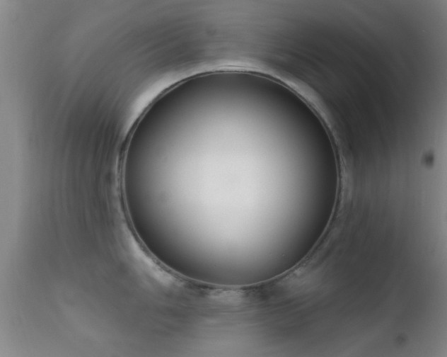 X0000112201006200908141429