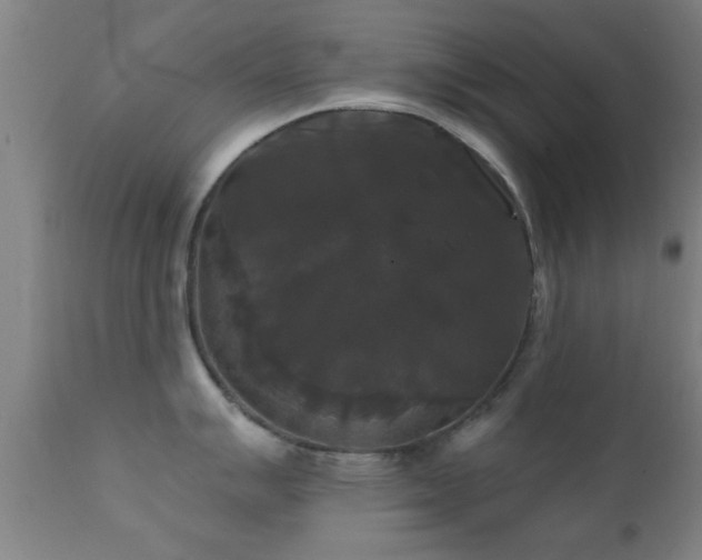 X0000112201007200908141429