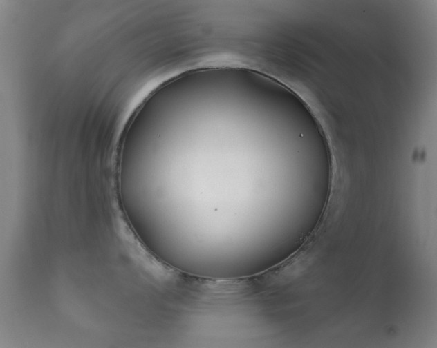 X0000112201008200908141429
