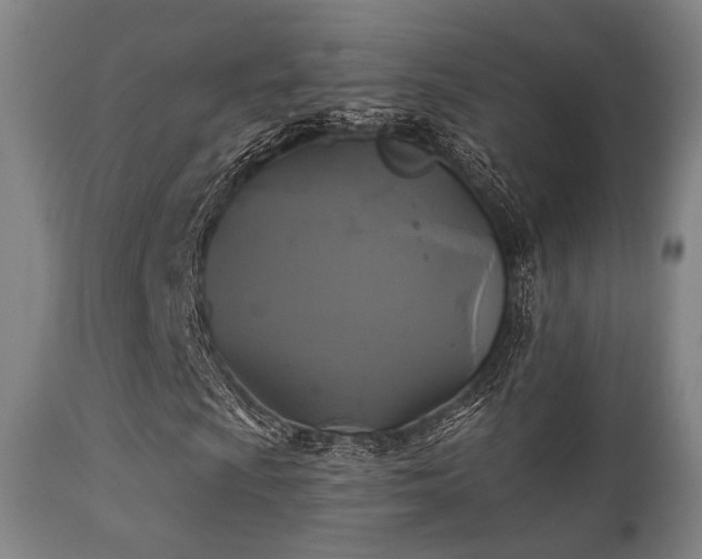 X0000112201009200908141428