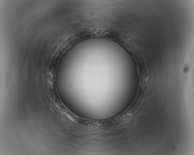 X0000112201010200908141428