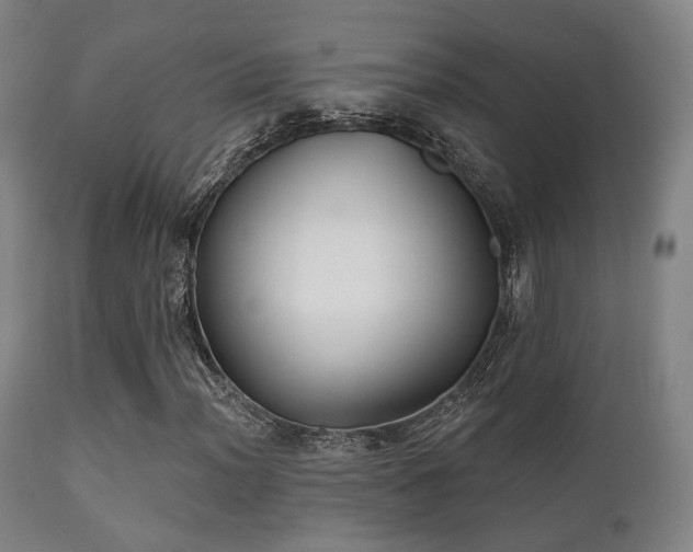 X0000112201012200908141428