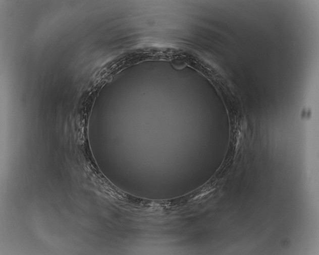 X0000112201013200908141428