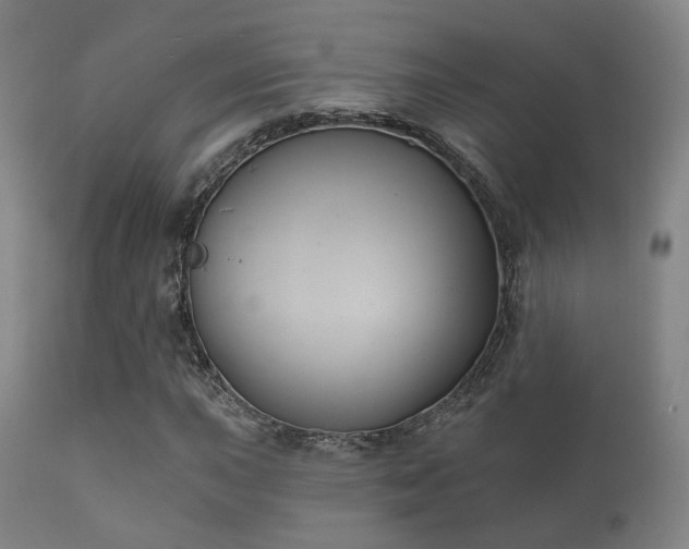 X0000112201015200908141428