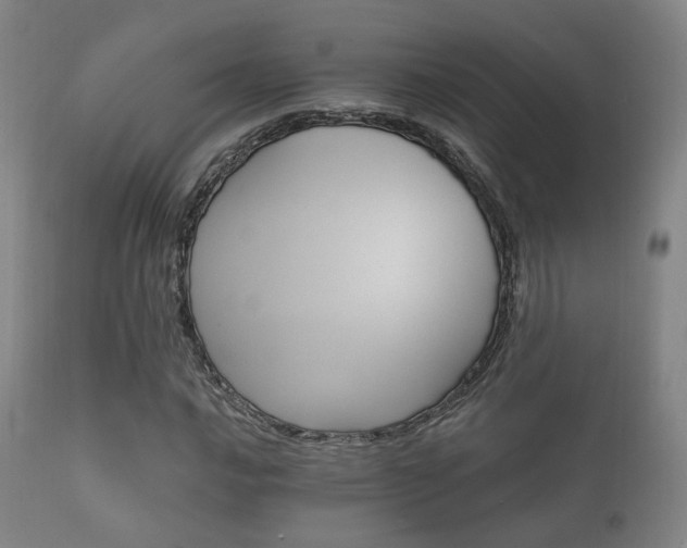 X0000112201016200908141428