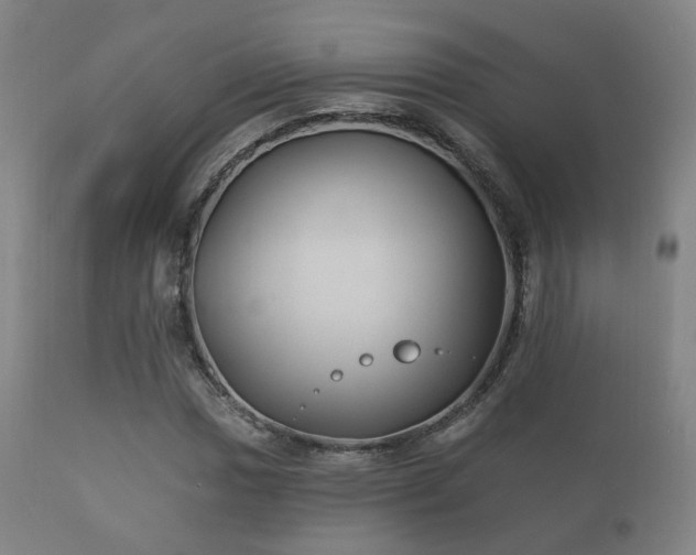 X0000112201017200908141428