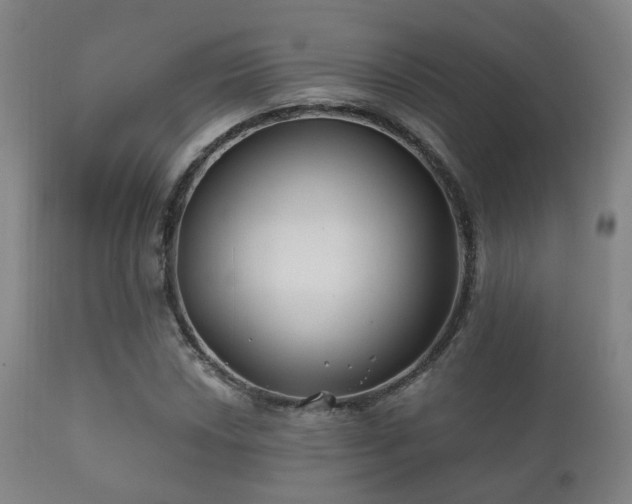 X0000112201018200908141428