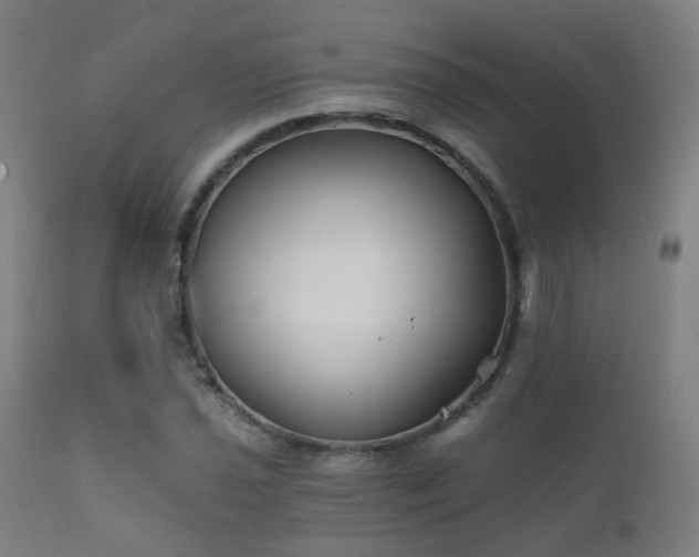 X0000112201021200908141429