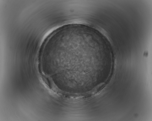 X0000112201024200908141429