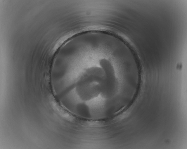 X0000112201025200908141429