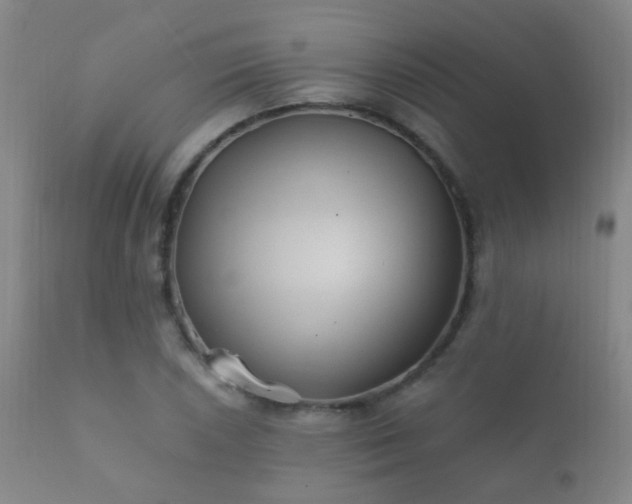 X0000112201026200908141429