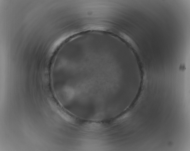 X0000112201027200908141429