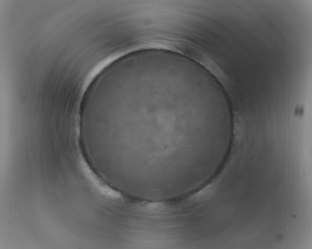 X0000112201028200908141429