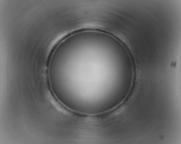 X0000112201029200908141429