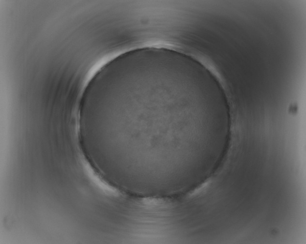 X0000112201032200908141429
