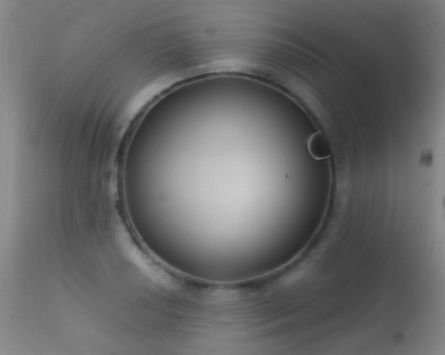 X0000112201034200908141429