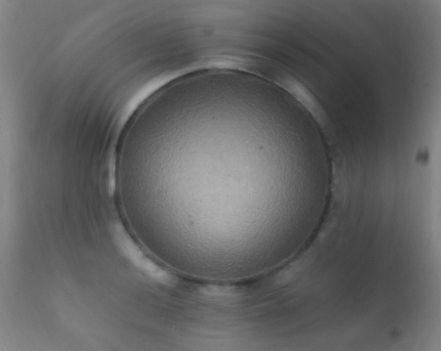 X0000112201036200908141429