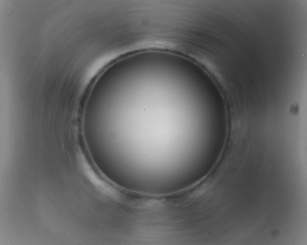 X0000112201038200908141429