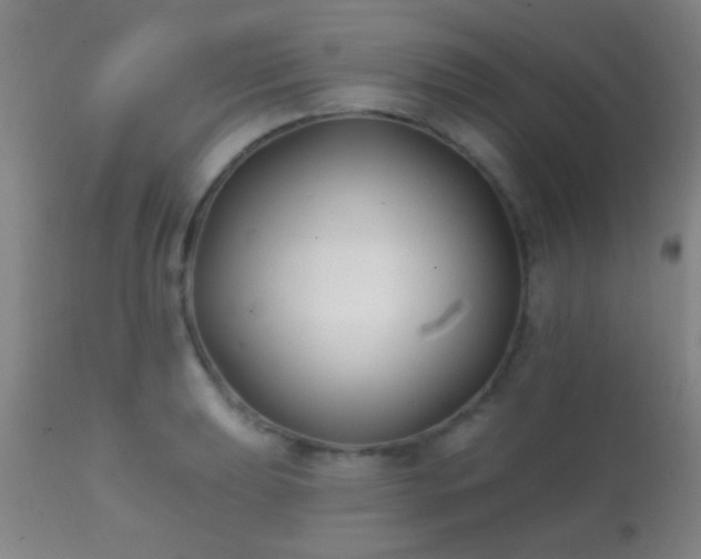 X0000112201039200908141429