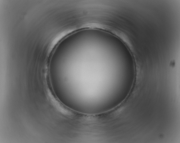 X0000112201040200908141429