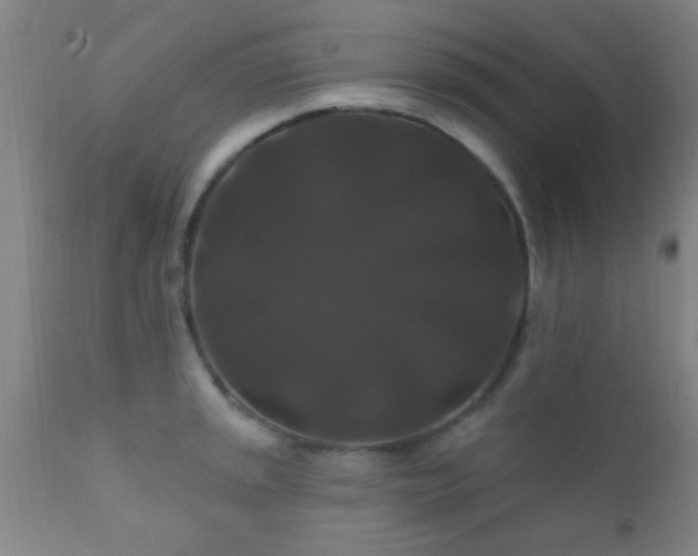 X0000112201045200908141429