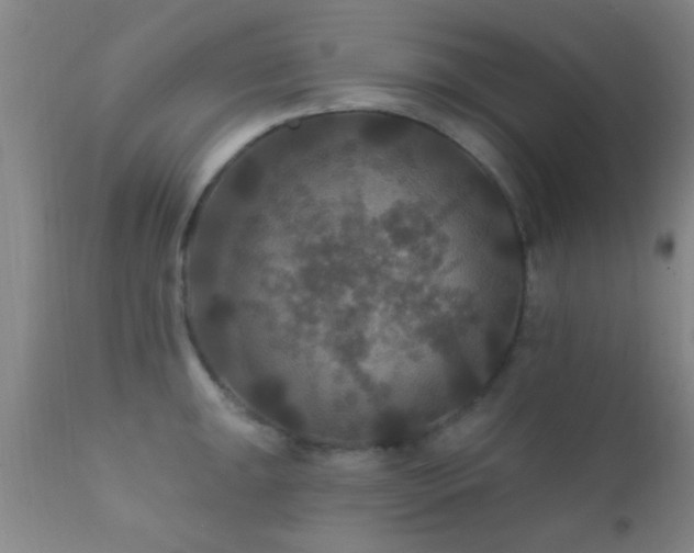 X0000112201047200908141429