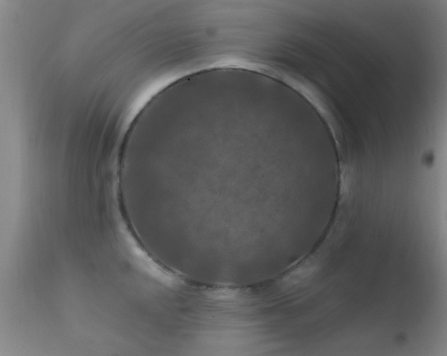 X0000112201048200908141429
