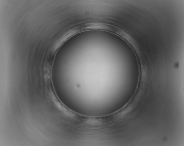 X0000112201049200908141429