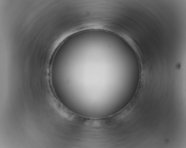 X0000112201051200908141429