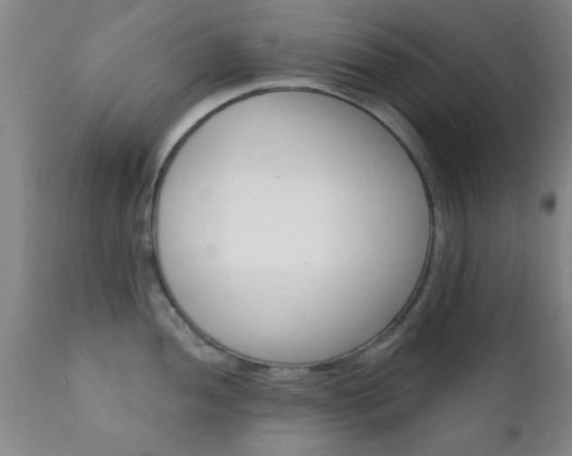 X0000112201052200908141429