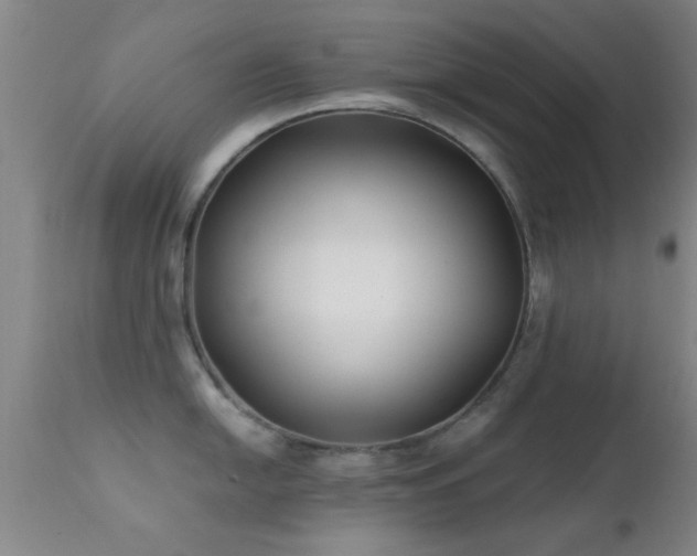 X0000112201054200908141429