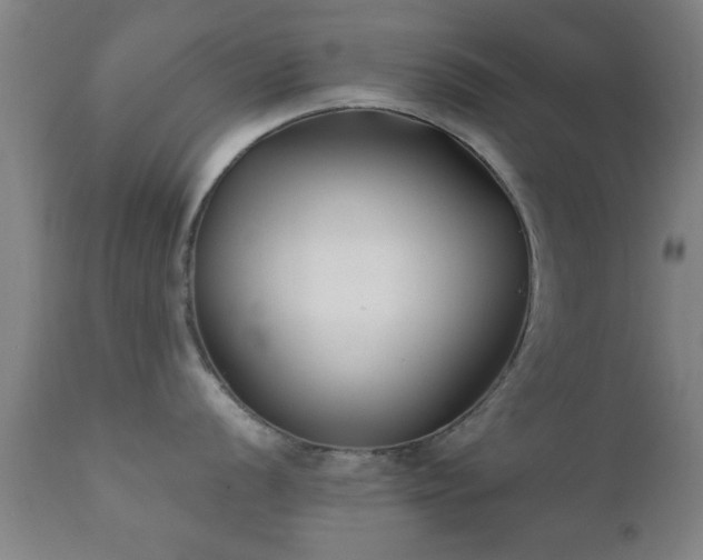 X0000112201056200908141429