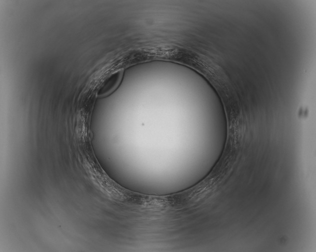 X0000112201058200908141428