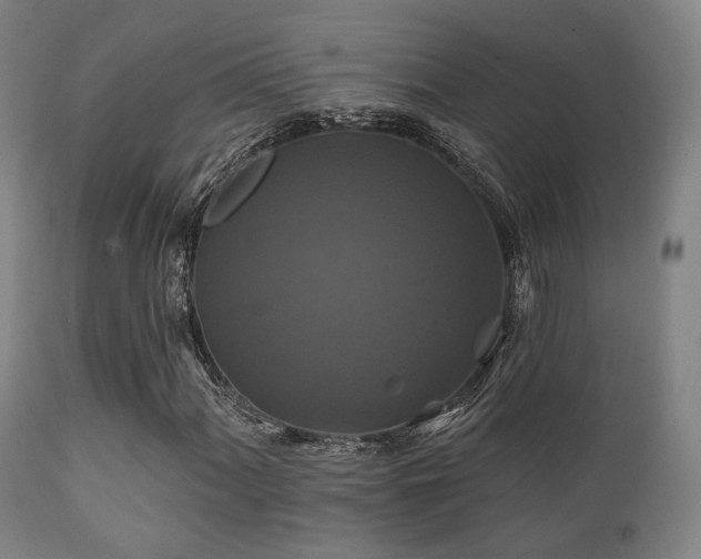 X0000112201060200908141428