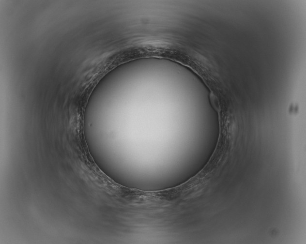 X0000112201061200908141428