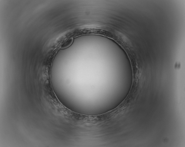 X0000112201062200908141428