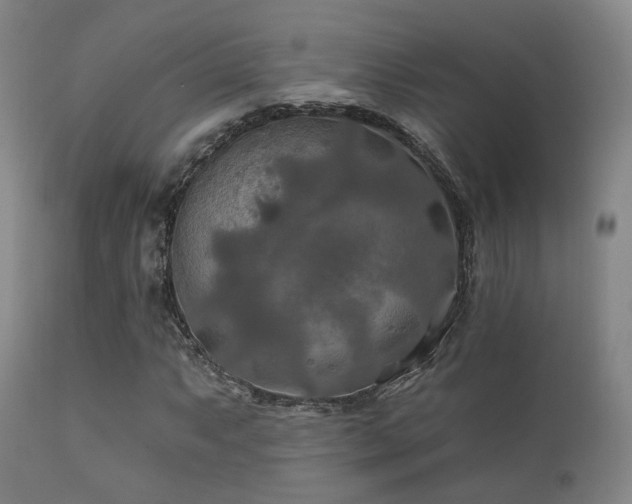 X0000112201063200908141428