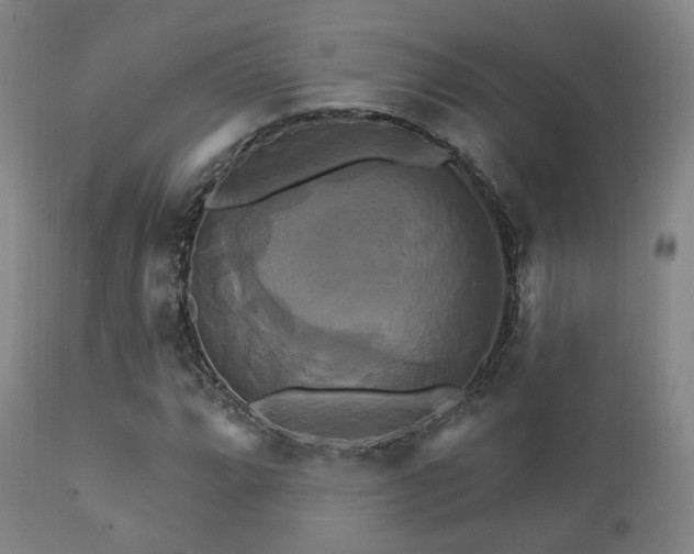 X0000112201064200908141428