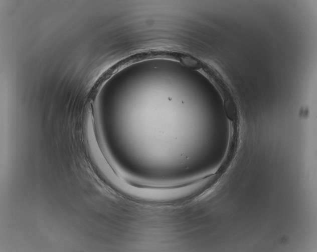 X0000112201065200908141428