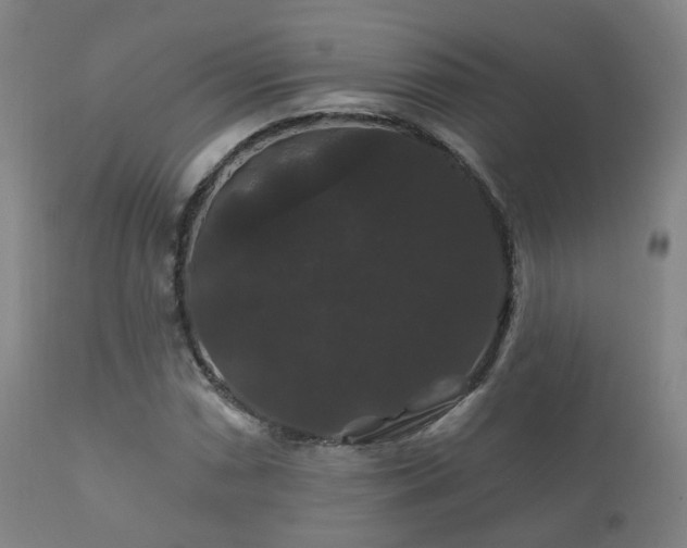 X0000112201066200908141428