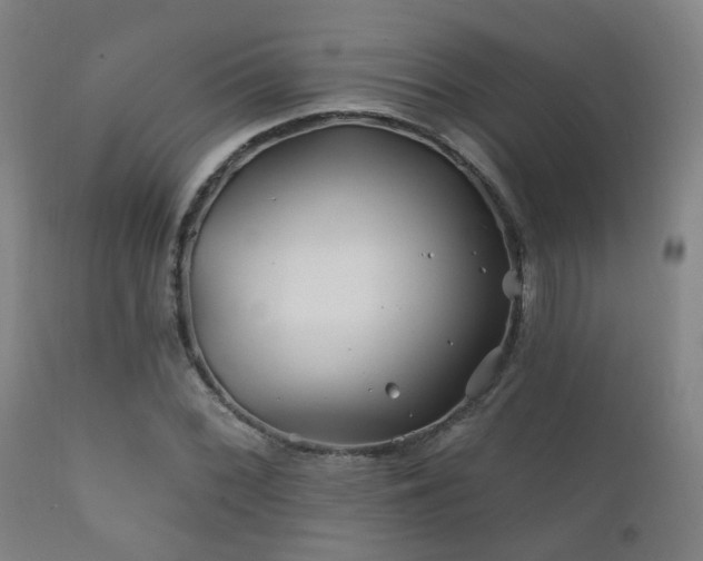 X0000112201068200908141428