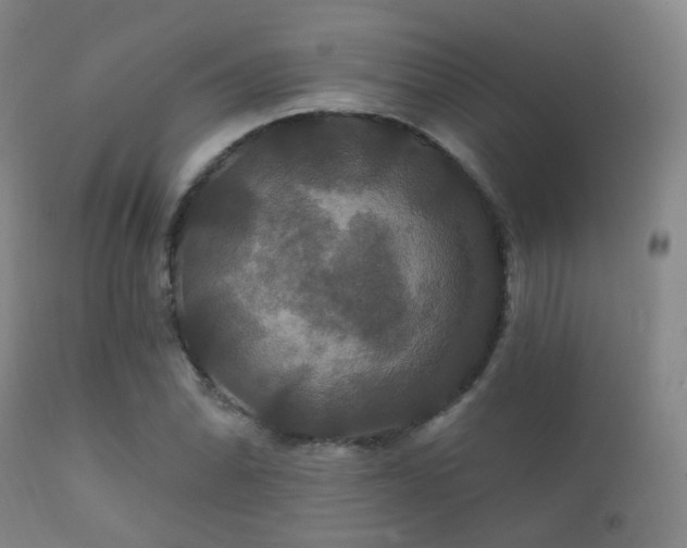 X0000112201070200908141428