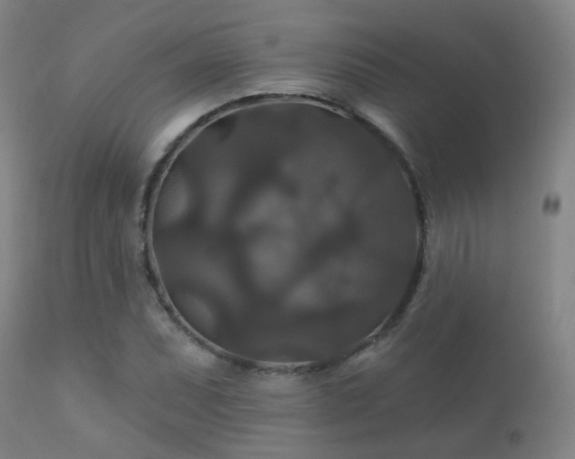 X0000112201071200908141428