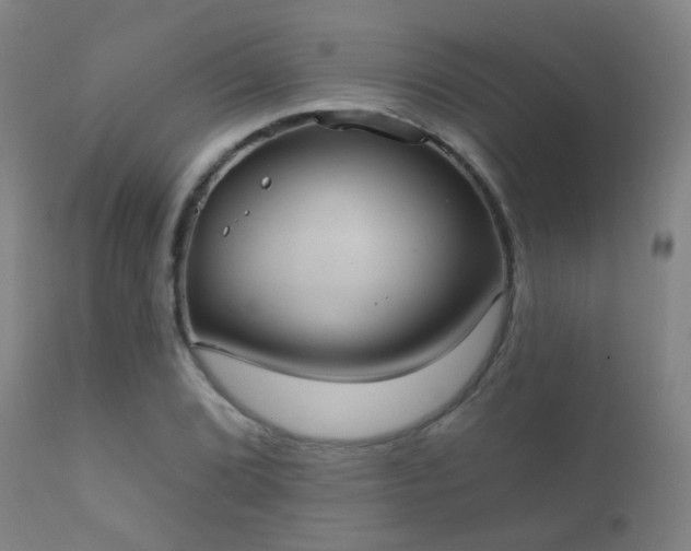 X0000112201072200908141428