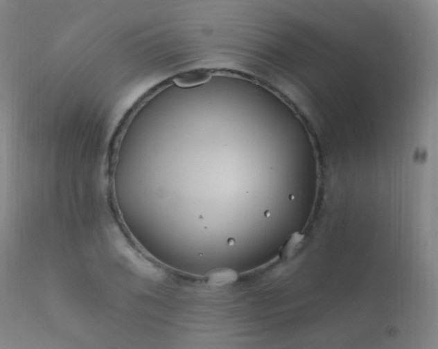X0000112201076200908141428