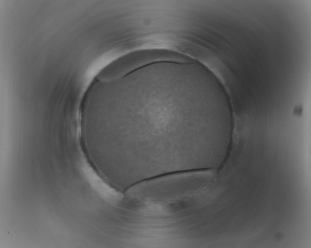 X0000112201080200908141428
