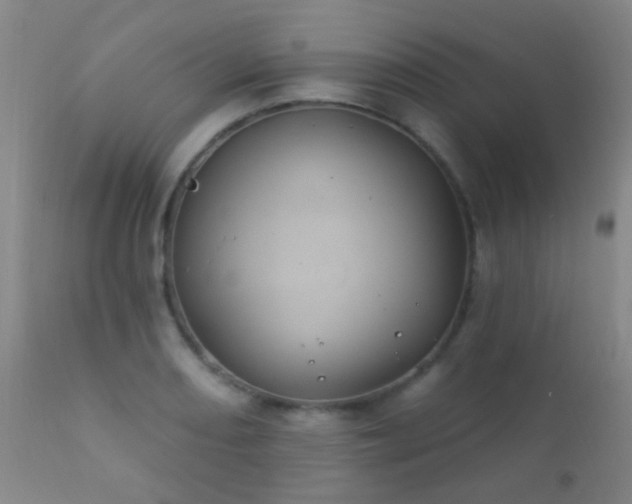 X0000112201082200908141428