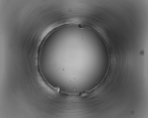 X0000112201083200908141428